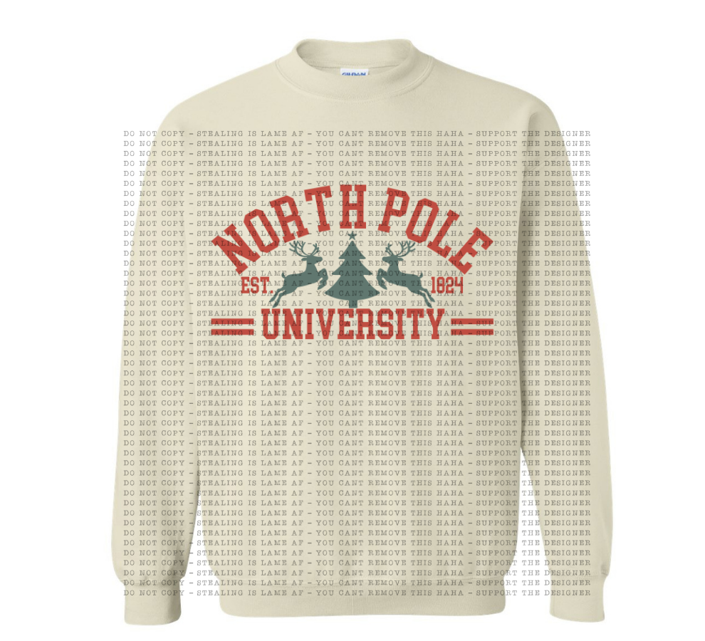 North Pole university